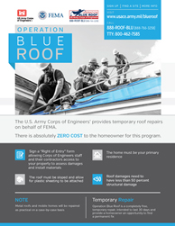 Blue Roof Public Flyer